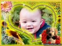 Cachorro, rosas e margaridas