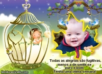 As alegrias
