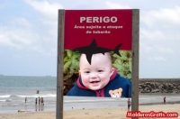 Área sujeita a ataque de tubarão