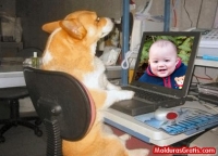 Cachorro no computador