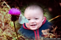 Borboleta sobre a flor