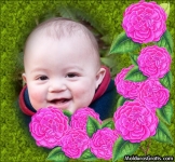 Borda de flores cor-de-rosa