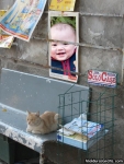 Jornal na rua