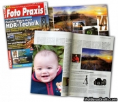 Revistas