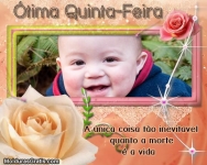 A vida e a morte