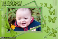 Borboletas verdes